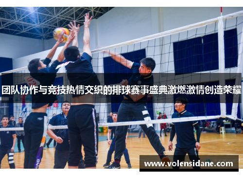 团队协作与竞技热情交织的排球赛事盛典激燃激情创造荣耀