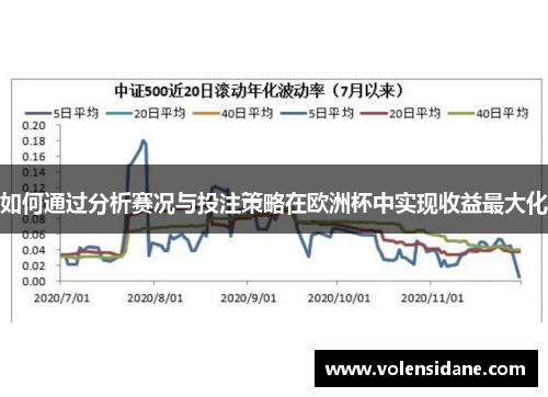 如何通过分析赛况与投注策略在欧洲杯中实现收益最大化
