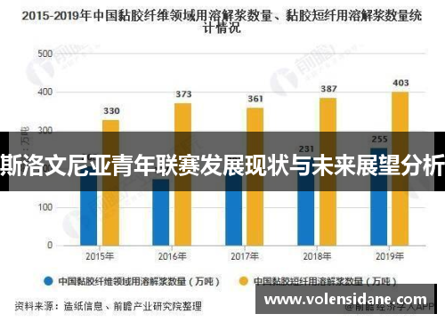 斯洛文尼亚青年联赛发展现状与未来展望分析