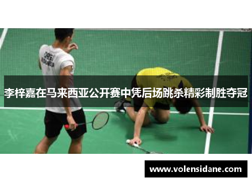 李梓嘉在马来西亚公开赛中凭后场跳杀精彩制胜夺冠